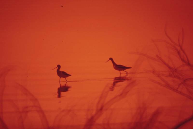 Smart Financial Tips for Long-Term&nbsp;Success